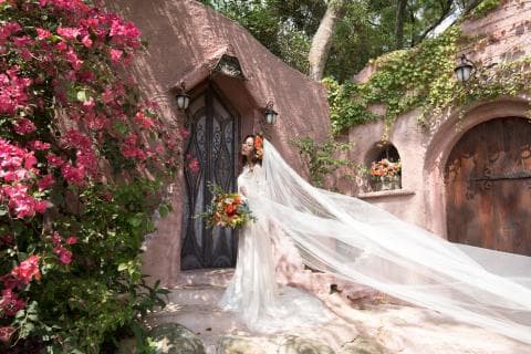 這張照片是一名身穿婚紗的新娘，她的頭紗隨風飄揚，彷彿在夢幻的童話世界中漫步。