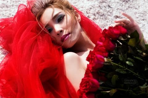 這張照片是一個女人穿著紅色薄紗，她的周圍是紅色的玫瑰。