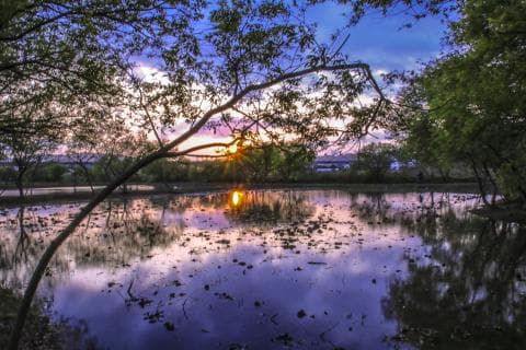 這張「夕陽倒映在湖面上的照片」是，夕陽西下，金色的光輝灑落在湖面上，形成一道道金色的波紋，湖水波光粼粼，美不勝收。