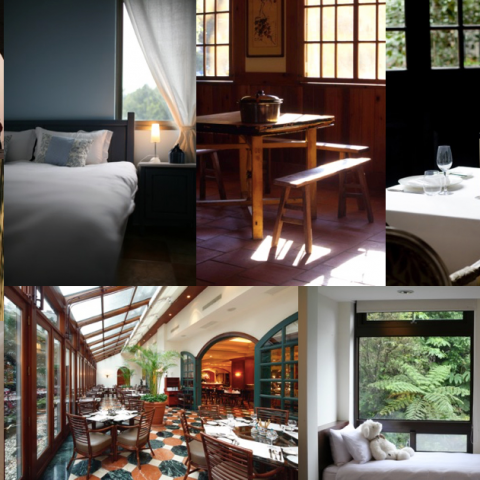 這張「拼貼」的照片是四個不同房間的片段。左上角是一個有窗戶和床的房間，右上角是一個有餐桌和椅子、窗戶和木地板的房間，左下角是一個有著許多窗戶、植物和餐桌的房間，右下角是一個有窗戶、床和毛絨玩具的房間。