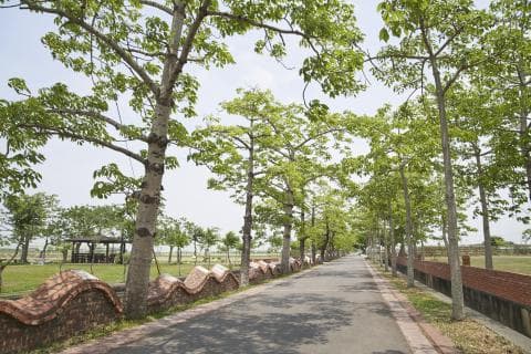 這張「道路兩旁種滿樹木」的照片是一條筆直的道路，兩旁種滿了高大的樹木，道路兩旁有紅磚牆，景色優美。