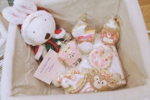 這張「禮物籃」的照片是一隻毛茸茸的兔子玩偶，旁邊放著許多可愛的餅乾。