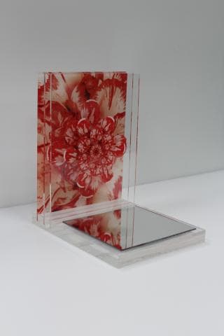 這張照片是一個透明的盒子，裡面有一朵紅色花卉的照片。盒子底部有一面鏡子，可以反射花卉的影像。花卉的顏色鮮豔，細節清晰，鏡子反射的光線讓花卉更加立體。