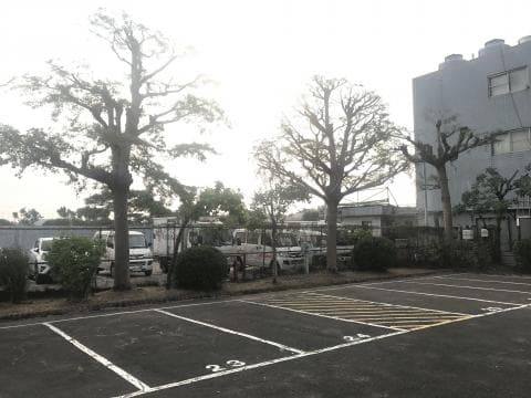 這張照片是一片空蕩蕩的停車場，上面畫著一些白色的停車線。