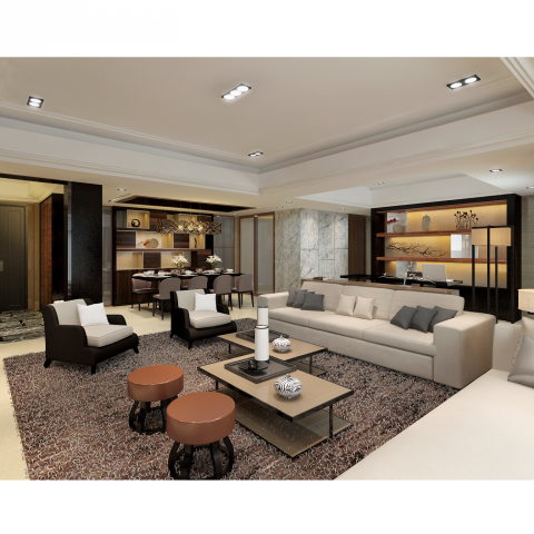 這張「現代客廳」的照片是，一個舒適的客廳，有著白色的沙發、黑色皮質扶手椅，以及一張木質茶几，地上鋪著深色的地毯，牆上裝飾著木質層架，顯得簡潔而優雅。