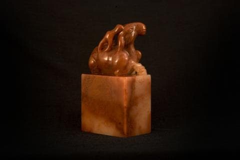 這張「印章」的照片是一隻雕刻在石頭上的動物，它站在一個方形的底座上。