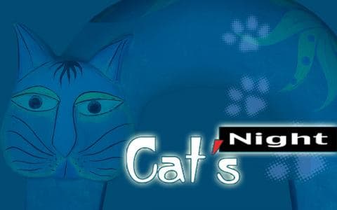 這張照片是一個藍色貓頭，牠的眼睛很大，嘴巴小小的，很可愛。