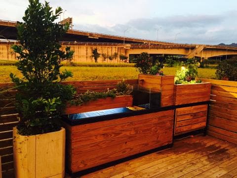 這張「戶外花園」的照片是一片木質平臺，上面有兩個木箱，一個放著綠色植物，另一個放著一個小水池，旁邊有一棵綠色植物和一個木質的盆栽。