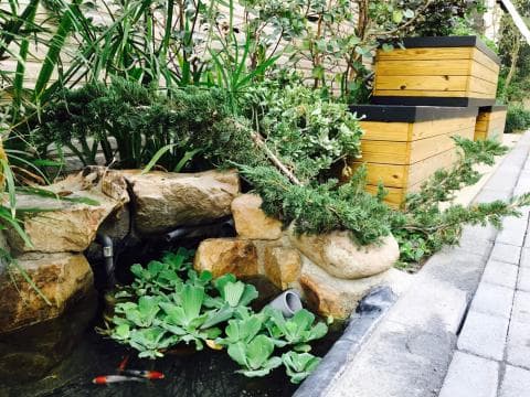 這張照片是一個小型花園，最重要的是一個用石頭和植物裝飾的迷你水池。池中還有兩條魚，看起來很悠閒。