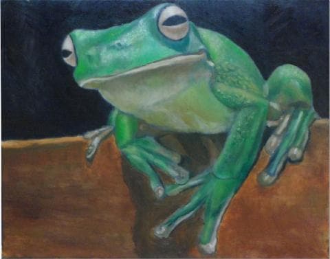 這張照片是一隻綠色的青蛙，它坐在一塊木頭上。青蛙的眼睛很大，身體顏色鮮豔，看起來很生動。