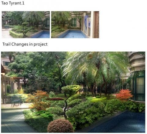 這張照片是一片綠意盎然的庭院，中間有一棵高大的棕櫚樹，樹葉茂盛，枝繁葉茂，佔據了畫面的一大部分。樹下是翠綠的草坪和各種灌木，營造出清新的自然氛圍。