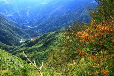 這張「山景」的照片是一片綠色的山坡，山坡上有一些樹木，遠處的山脈隱約可見。