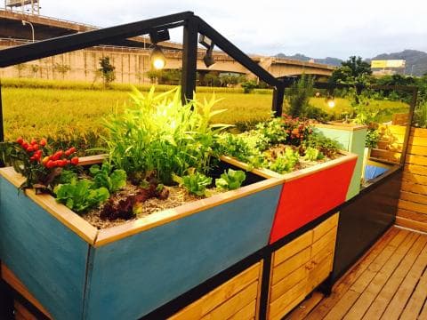 這張「空中花園」的照片是一座由木板和金屬製成的架子，上面種滿了各種蔬菜和花卉，並用不同的顏色塗漆。