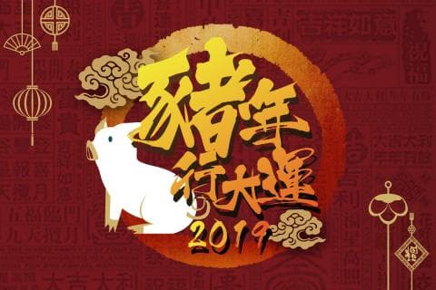 這張照片是2019年豬年的賀年海報，主要元素是紅色的背景、金色喜慶的字體和一隻可愛的白色小豬。
