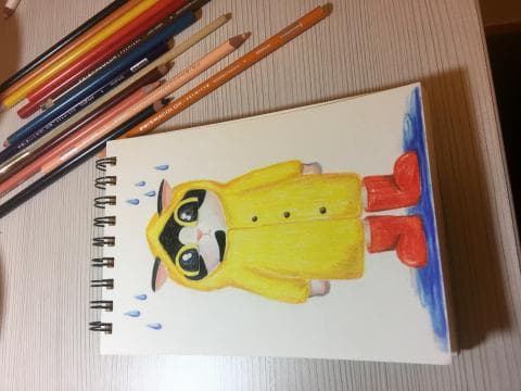 這張照片是一隻穿著黃色雨衣和紅色雨靴的貓咪，在雨中行走。牠的臉上戴著眼鏡，顯得非常可愛。