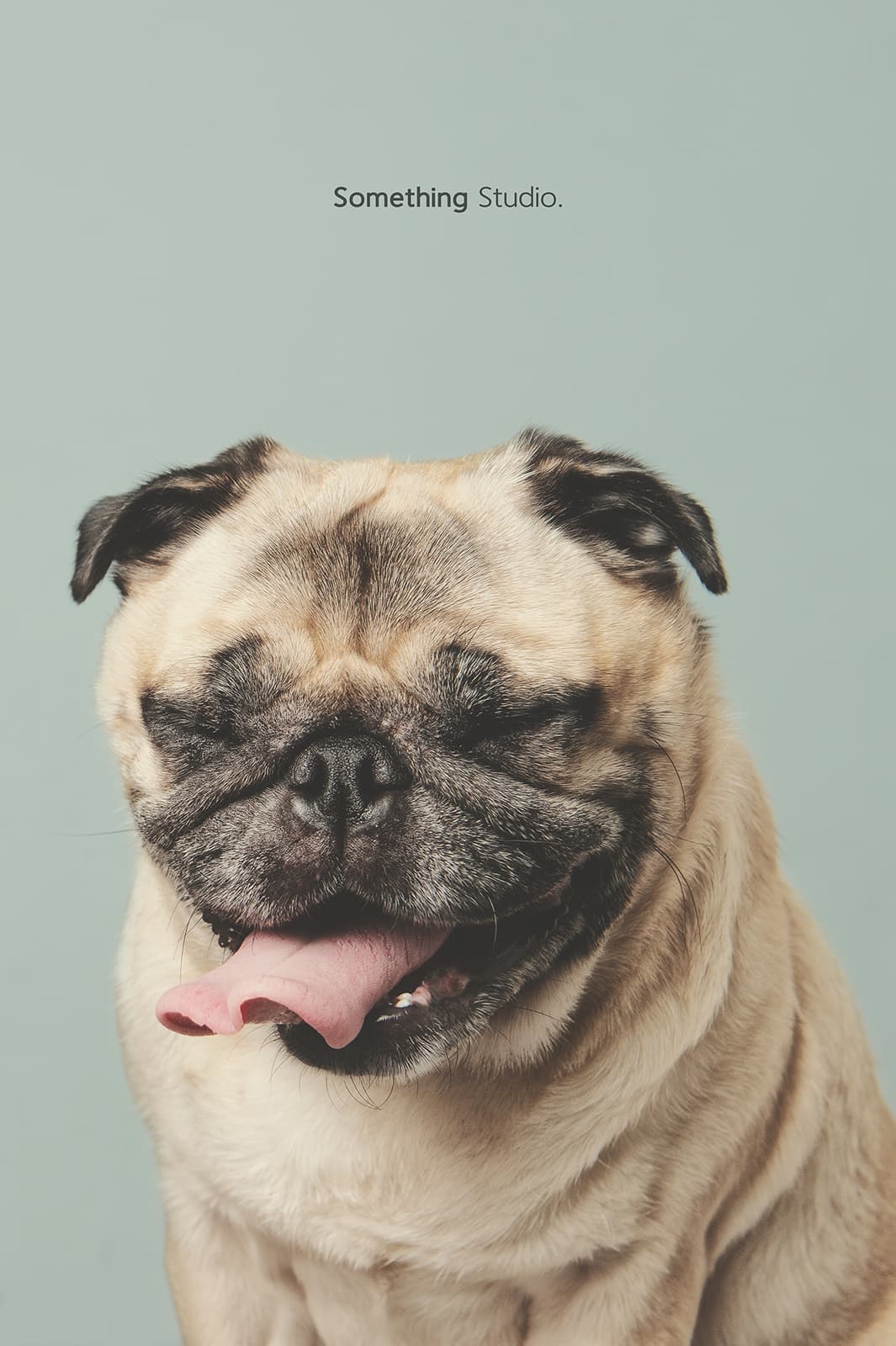 這張「可愛的小狗」的照片是一隻小巴哥犬，牠正露出嘴巴，牠的眼睛閉著，牠的毛色是淺棕色，牠看起來很可愛。