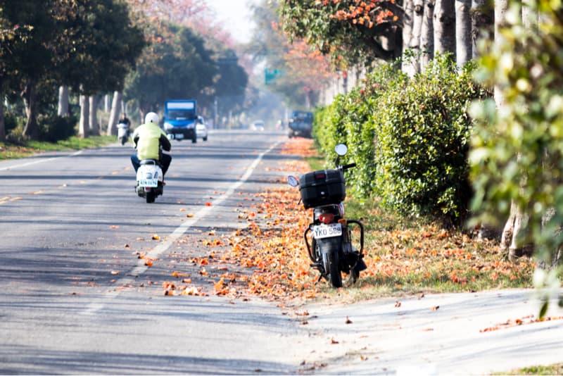 這張照片是一輛停在路邊的機車，機車後方有綠色的樹叢，路面上鋪滿了橘色的落葉，感覺非常寧靜。