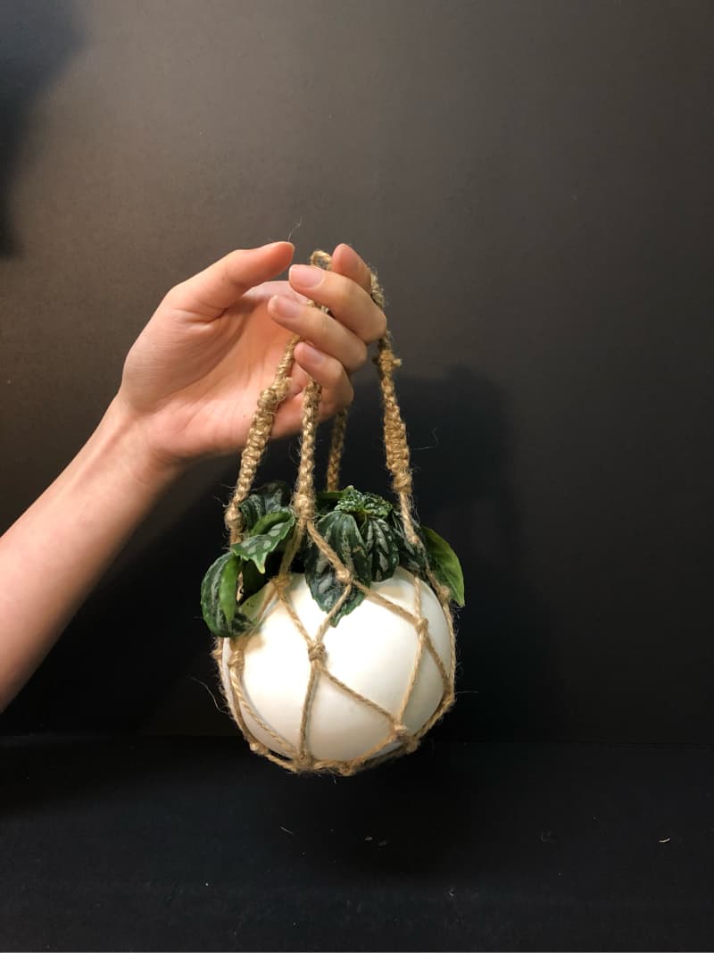這張照片是一個用繩子編織的吊籃，裡面放著一盆綠色植物。吊籃是用白色的陶瓷製成，繩子是棕色的，植物的葉子是綠色的，看起來非常清新自然。