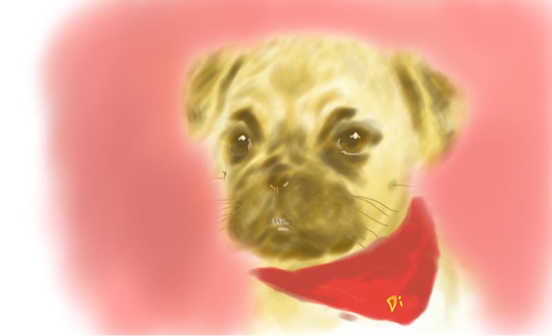 這張照片是一隻戴著紅色圍巾的小狗，牠有著棕色的大眼睛，以及可愛的皺紋，讓人忍不住想抱抱牠。