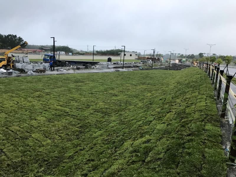 這張照片是一片新種的草坪，草坪上整齊排列著一塊塊綠色的草皮，看起來非常清新自然。