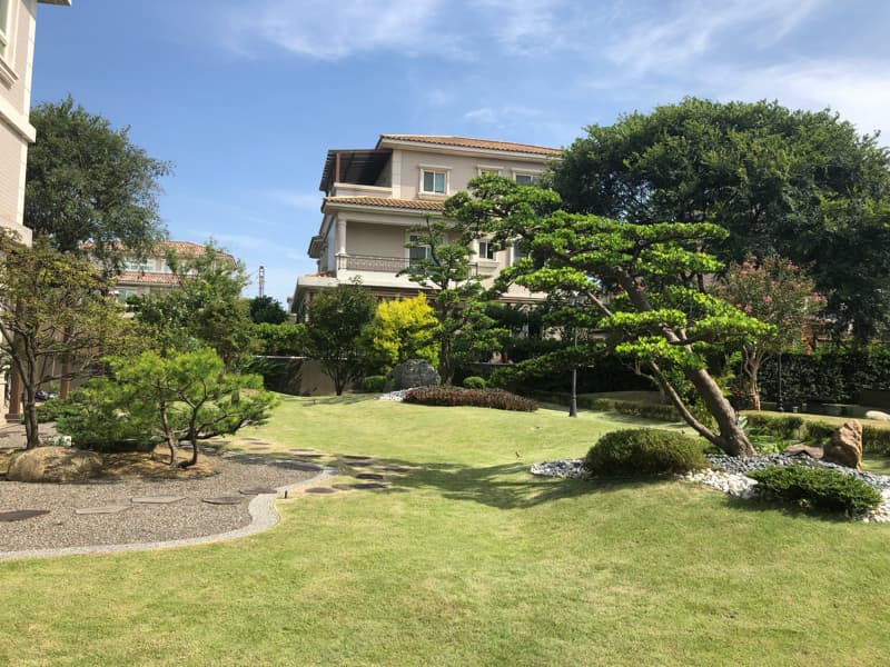 這張照片是一片精心設計的庭園，其中最引人注目的部分是庭院中心的一棵大樹，樹枝伸展到周圍的草坪上，給人一種寧靜而優雅的感覺。