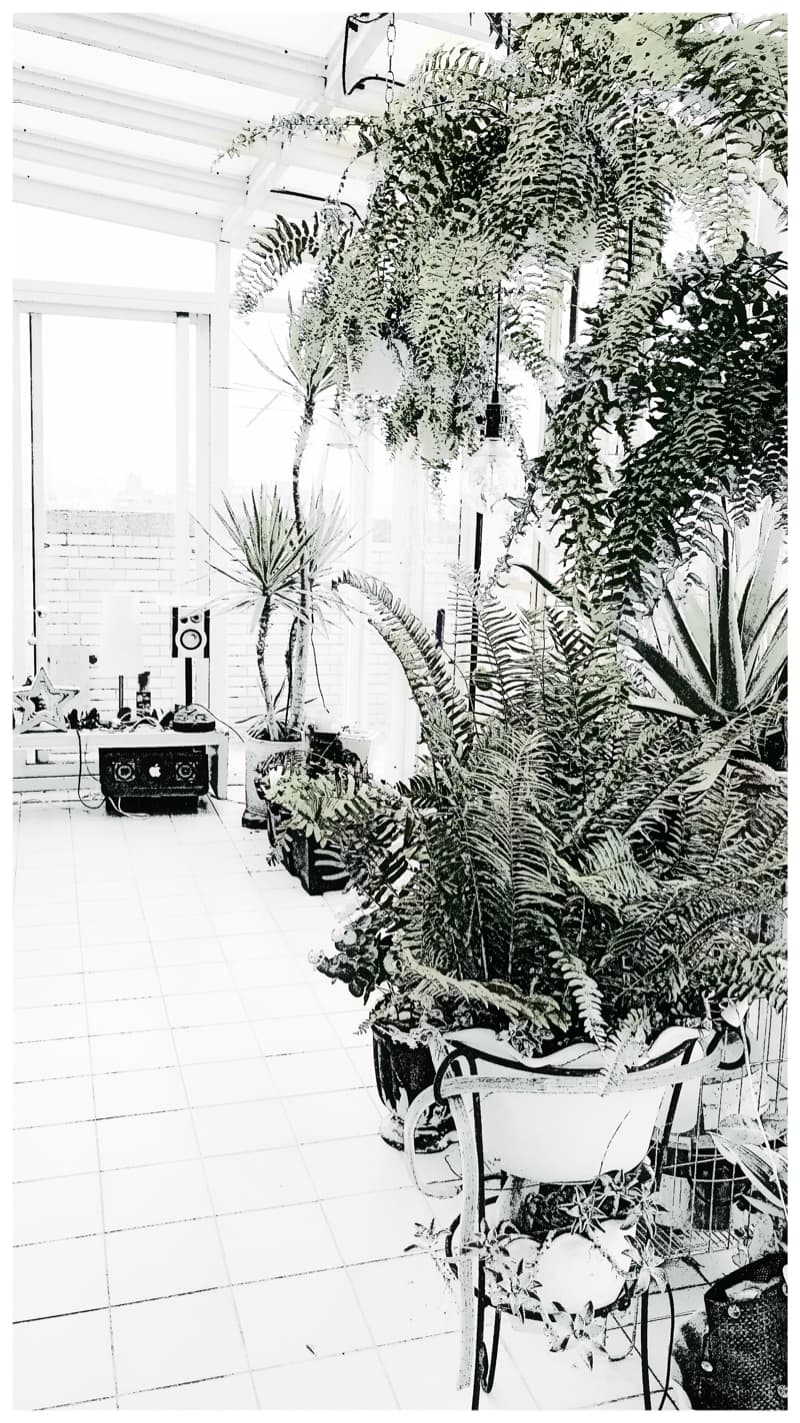 這張照片是一張帶有大量綠色植物的陽臺，陽臺上放著一把椅子，椅子上放著一個盆栽。