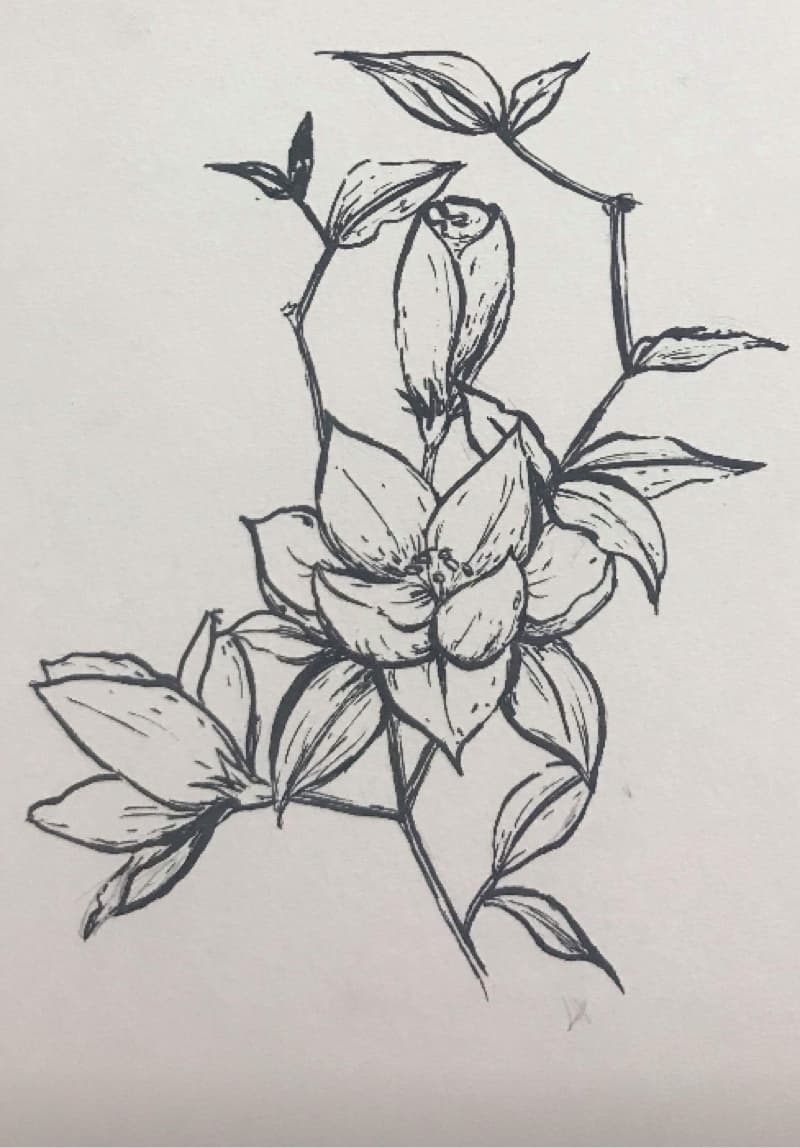 這張照片是一朵盛開的花，有六片花瓣和許多葉子，它們連在一起形成了一條莖。