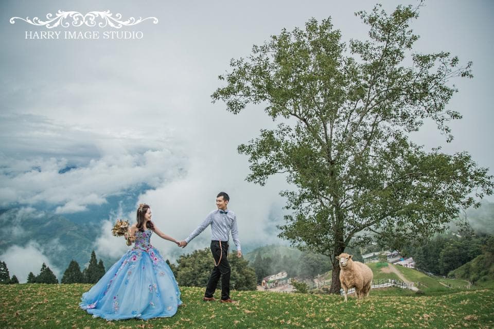 這張照片是一對新人在霧濛濛的山景中舉行婚禮,他們身穿婚紗禮服,背景是一棵高聳的大樹和一隻可愛的綿羊。