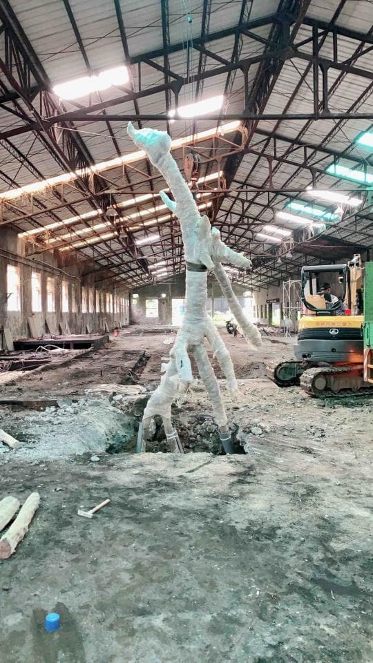 1) 照片顯示一個巨大的樹幹被吊在一個大型工業廠房中,樹幹被白色布料包裹著,周圍是泥濘的地板和鋼鐵結構,畫面右邊還有一台黃色工程車