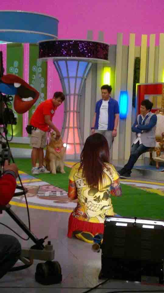 這張「電視節目」的照片是一名身穿黃色上衣的女模特,她坐在攝影棚裡,身邊還有兩位男藝人和一隻狗。