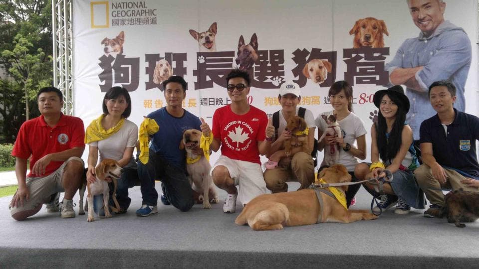 這張照片是一群人在一個關於狗的活動中,他們與他們的狗狗一起合影。照片的中心是他們與他們的狗狗,以及一個寫著“狗狗展覽會”的看板。