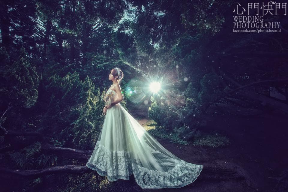 這張照片是一個穿著婚紗的女孩站在森林裡。她穿著一件白色婚紗,頭上戴著花環,並注視著遠方。她看起來非常漂亮和優雅。