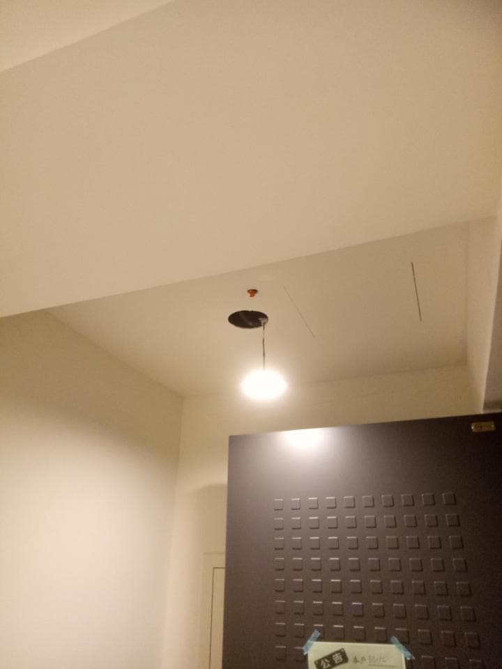 1) 照片顯示一個帶有黑色燈罩的燈泡吊在白色天花板上