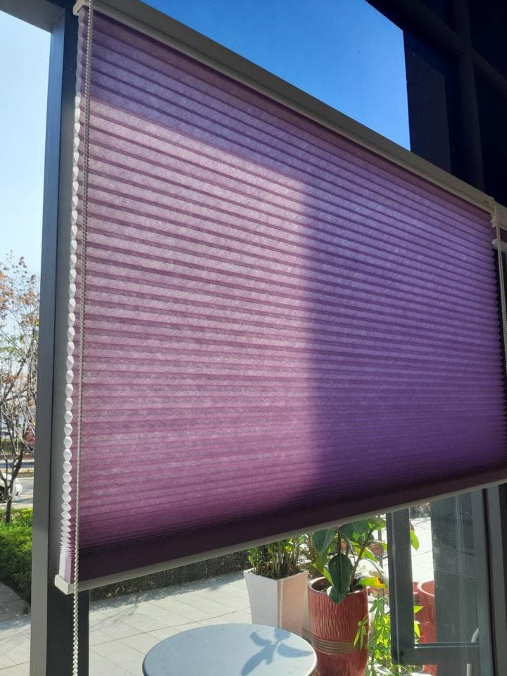 1) 照片顯示一個紫色調的百葉窗,窗簾拉到一半,可以看到窗外有陽光和樹木,以及一些家具