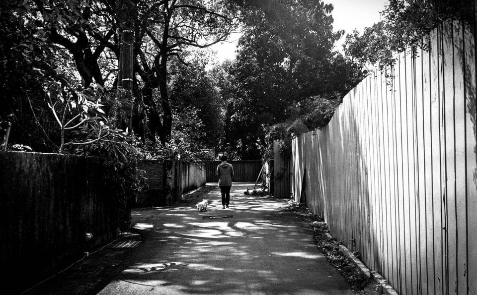 這張照片是一個人走在樹林裡的小路上,旁邊有高高的木板牆,陽光透過樹葉照射在路上,地上有樹影。