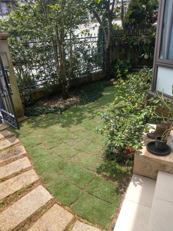 這張照片是一片草坪,草坪上鋪著一些方形的石頭。