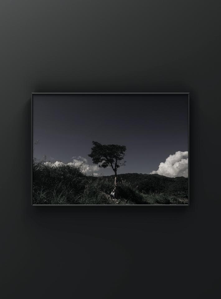 這張照片是一幅以單色調描繪的風景畫,畫面中,一棵孤獨的樹佇立在起伏的綠色山坡上,樹木的枝葉伸向天空,顯得格外顯眼。