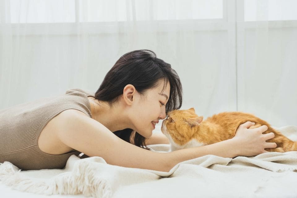 這張照片是一名女子與她心愛的橘貓互相依偎的溫馨畫面。女子用右手輕輕地撫摸著貓咪,貓咪閉著眼睛,享受著女子的愛撫,畫面充滿了愛與溫馨。