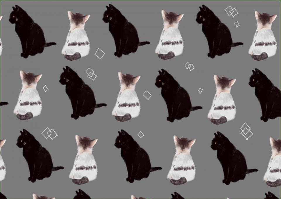 這張照片是重複的黑貓和白貓圖案,它們坐著並面向不同的方向。背景是灰色,並且有許多白色方形和菱形。每隻貓看起來都非常可愛。