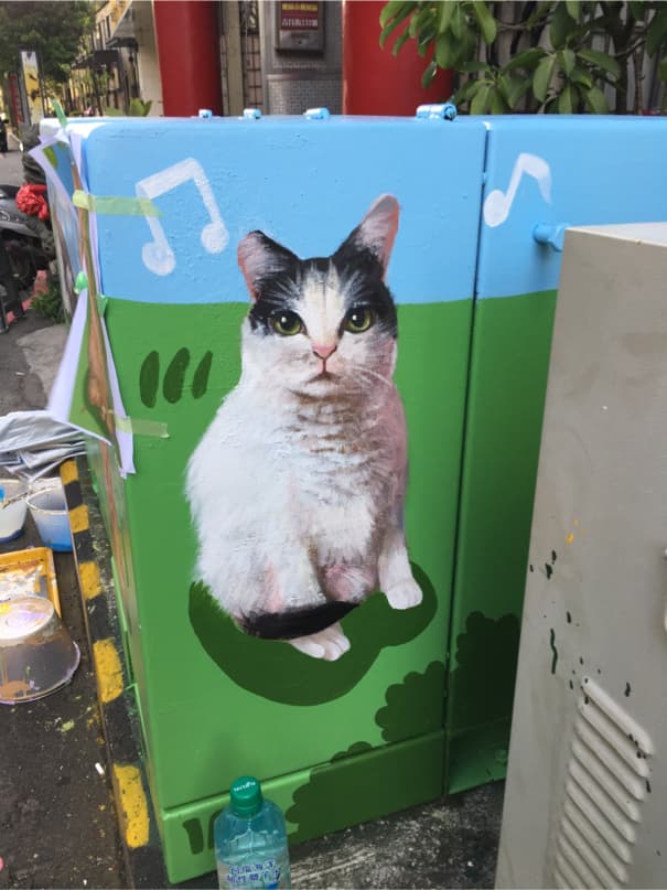 這張「貓咪塗鴉」的照片是一隻黑白相間的貓咪坐在綠色的草地上,背景是藍色的天空和音樂符號。