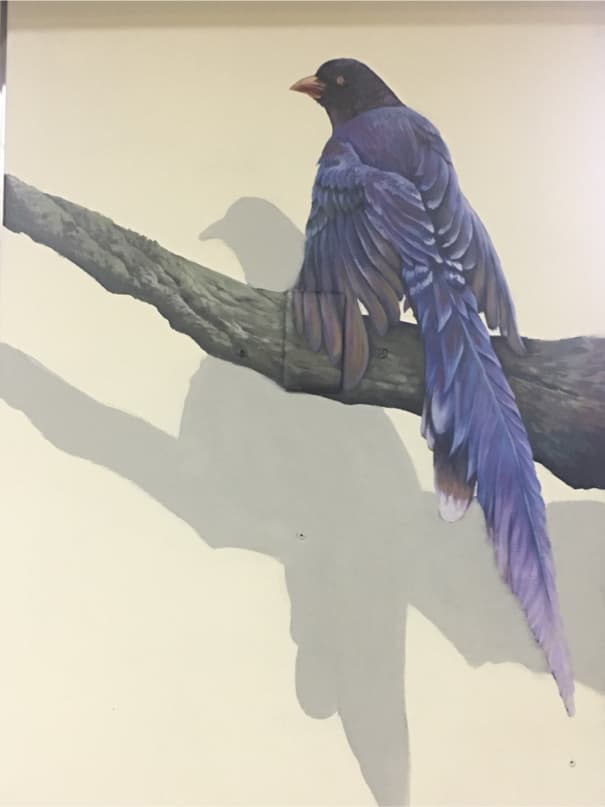 這張「一隻紫色的鳥停在樹枝上」的照片是,鳥的羽毛是紫色的,尾巴很長,牠的影子投射在牆壁上。