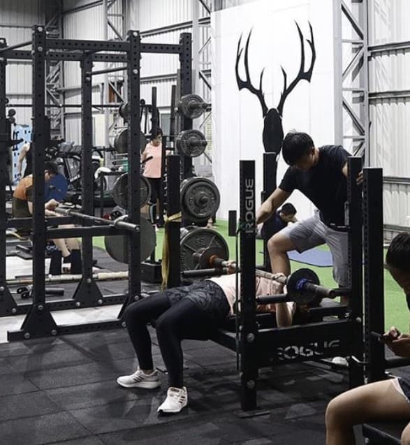 這是一張健身房的照片,健身運動可以增強體能、雕塑身材,並改善心血管健康。想要開始健身運動,可以到 PRO360 尋找適合的教練。