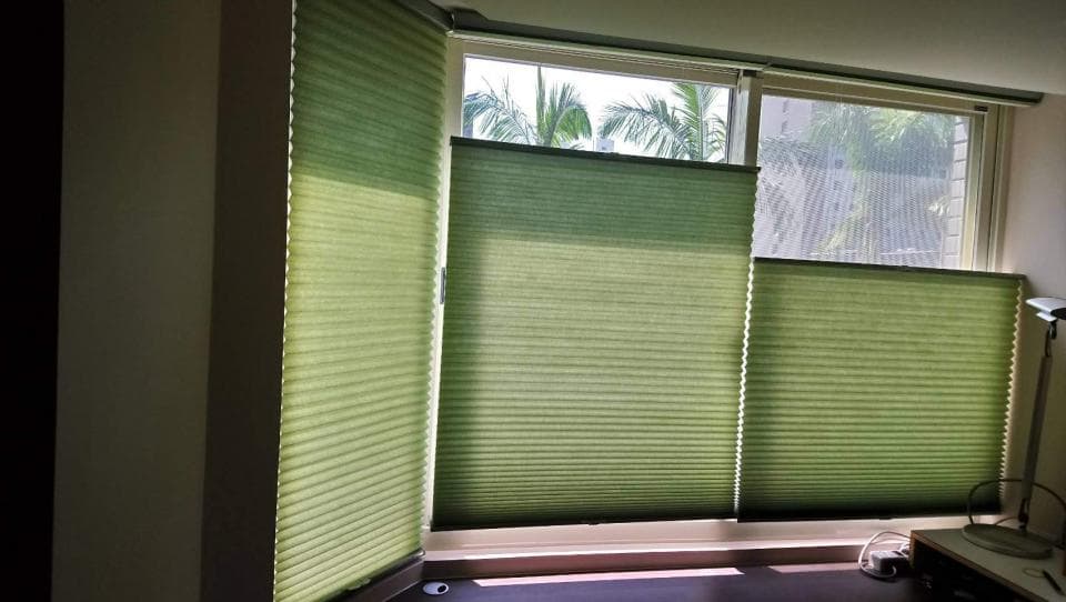 1) 照片顯示三扇綠色的百葉窗,窗戶外有樹木和建築物