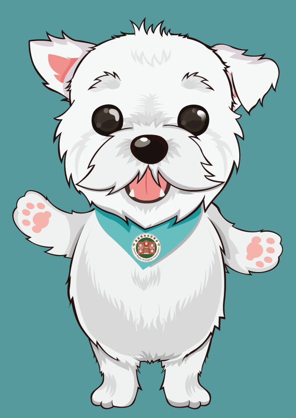 這張照片是一隻白色的小狗,牠戴著一條藍綠色的項鍊,項鍊上有一個紅色的徽章。