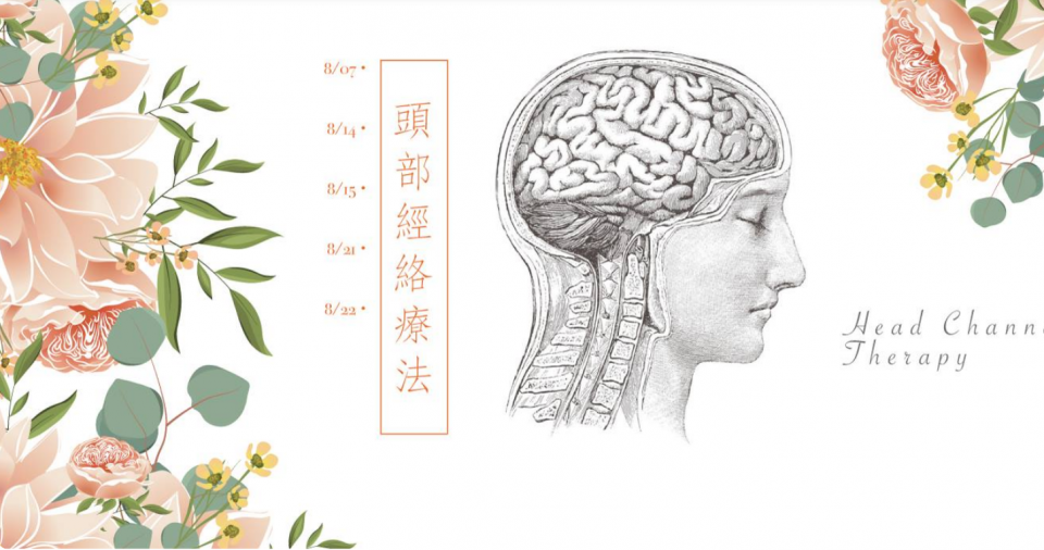 這張照片是一個頭部解剖圖,展示了人體的腦部和脊椎。圖像上還有“頭部經絡療法”的文字,暗示著這張圖與針灸療法或傳統中醫有關。
