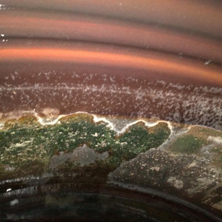 這張照片是一個生鏽的輪胎,表面有許多白點,像是鹽結晶一樣。