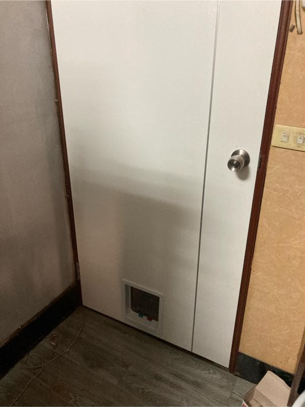 1) 照片顯示一扇白色的門,門上有一個貓門,門把是銀色的,周圍是木質的門框,門的下方是木質地板