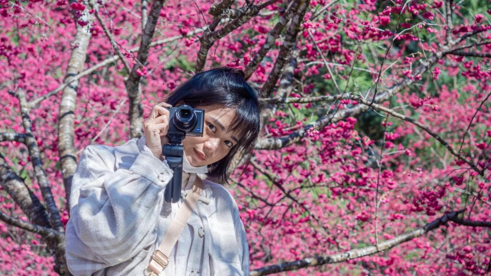 這張照片是一名年輕女子站在盛開的粉紅色花樹前,她用相機拍攝風景,背景是美麗的花朵。
