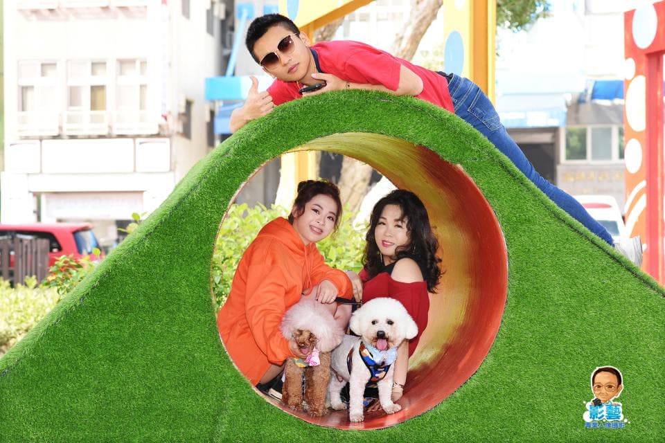 這張「三位女性朋友和兩隻小狗在一個綠色山丘的玩耍」的照片是,她們坐在山丘的洞口,其中一個穿著橘色外套,另外兩個穿著白色和紅色衣服,他們和兩隻小狗一起玩得很開心。