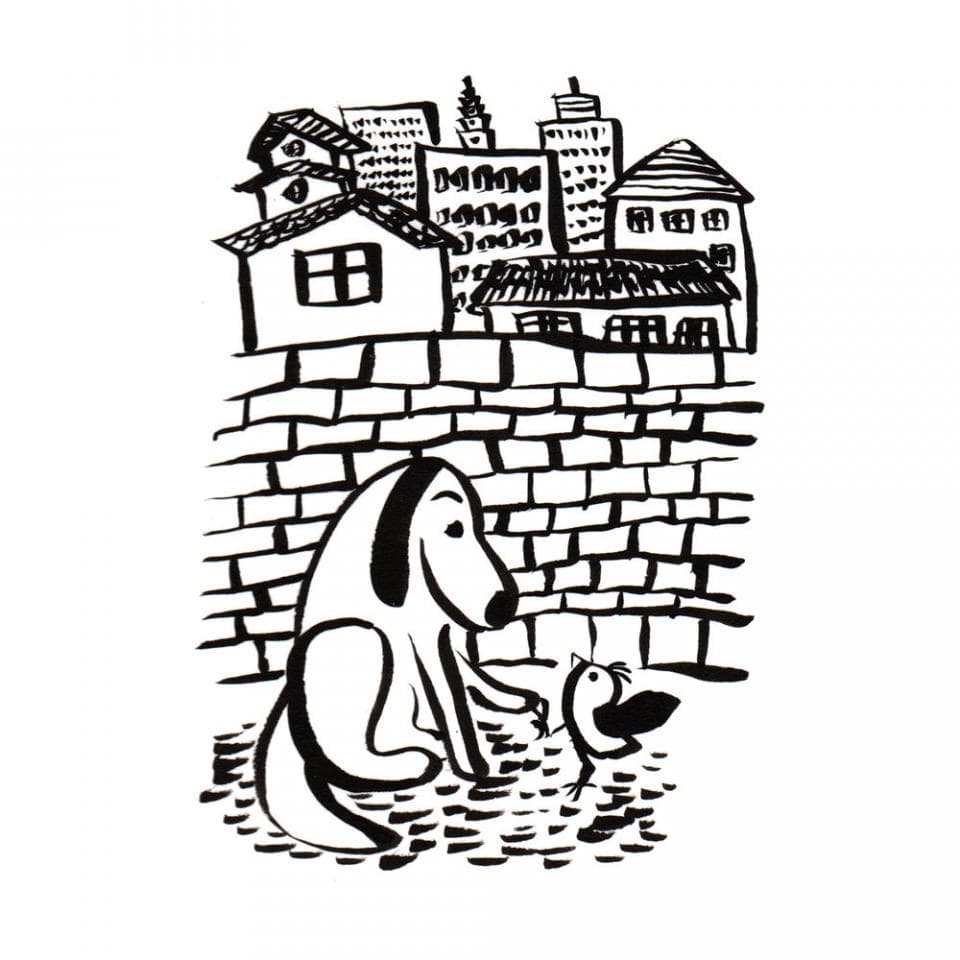 這張照片是一隻大狗和一隻小鳥在磚牆前玩耍。狗的嘴巴張開,似乎在對小鳥說話。小鳥的翅膀展開,好像準備要飛起來了。